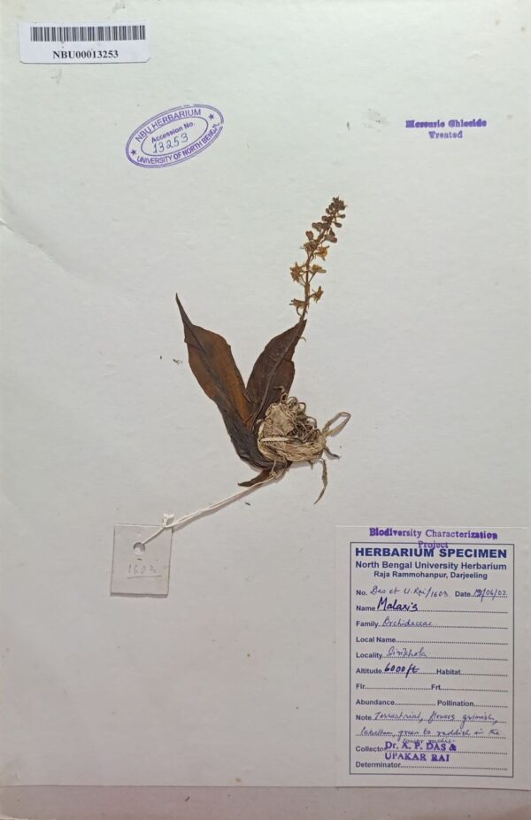 DocScanner 7 Apr 2026 4-12 pm(1) – Copy